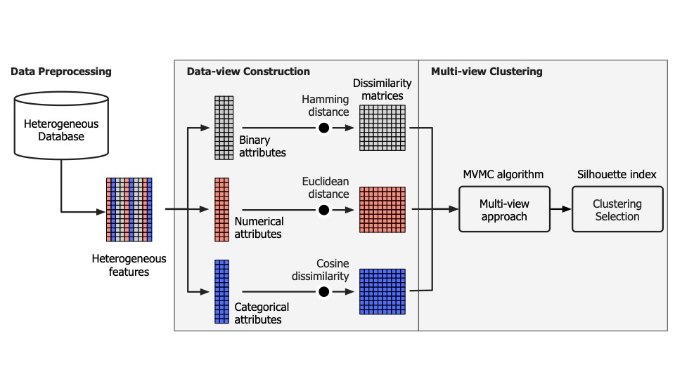 Multi-view Clustering of Heterogeneous Health Data: Application to Systemic Sclerosis